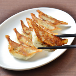 倭いちの餃子