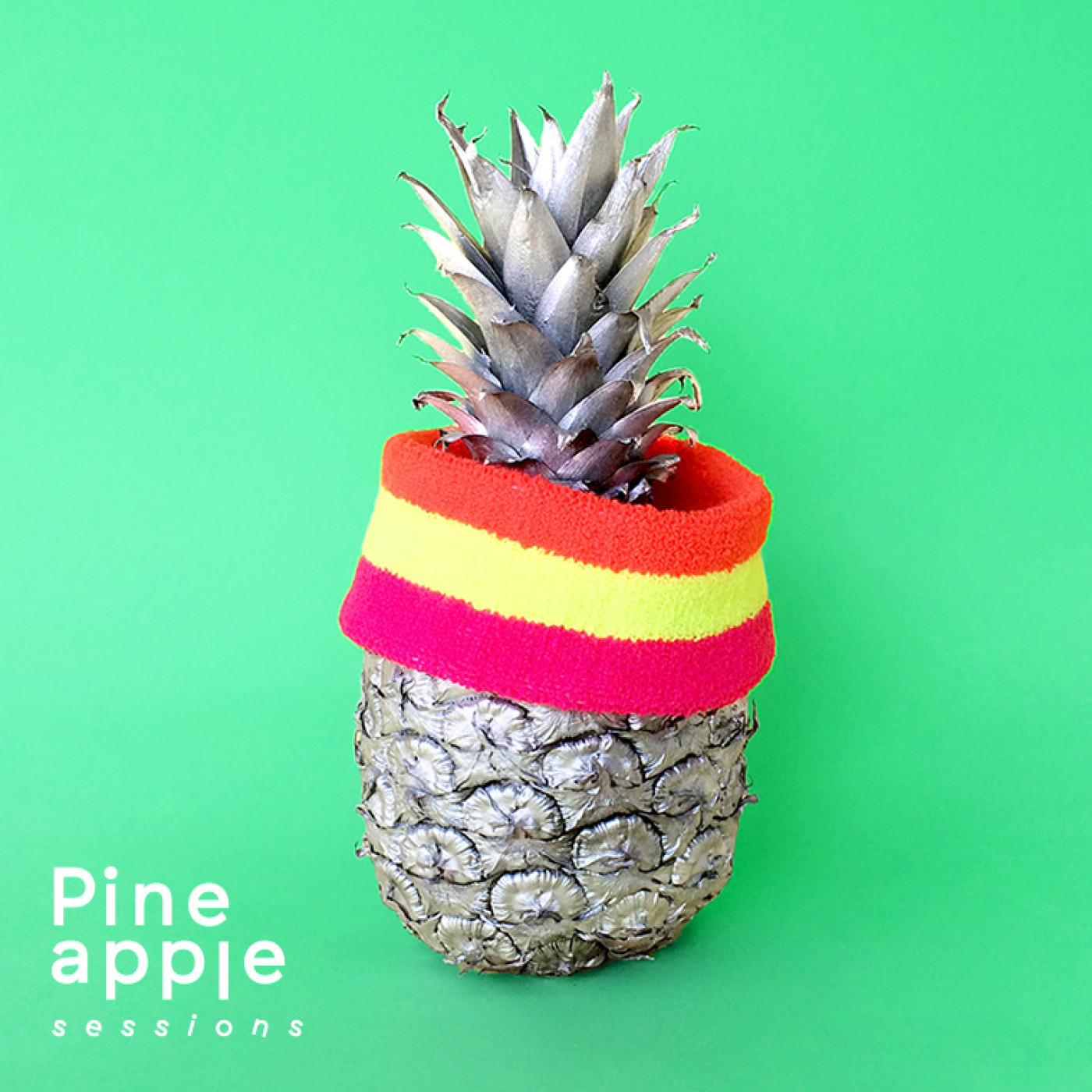 The Pineapple Sessions